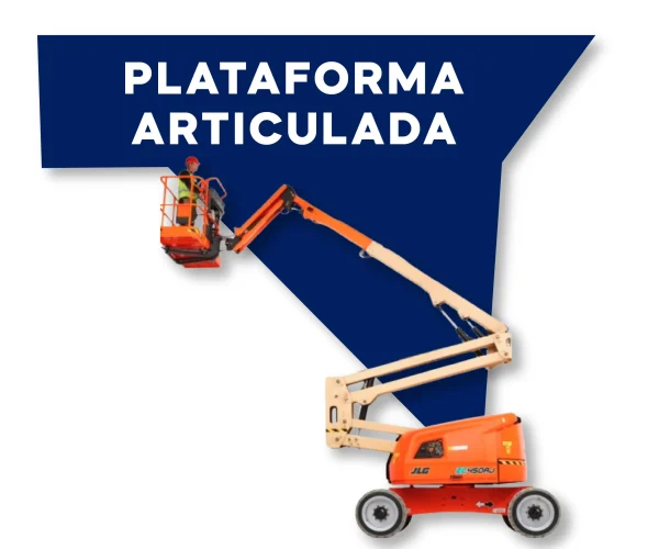 barney_Mesa de trabajo 1_Mesa de trabajo 1